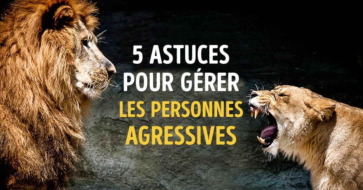 5 Astuces pour gérer les personnes agressives