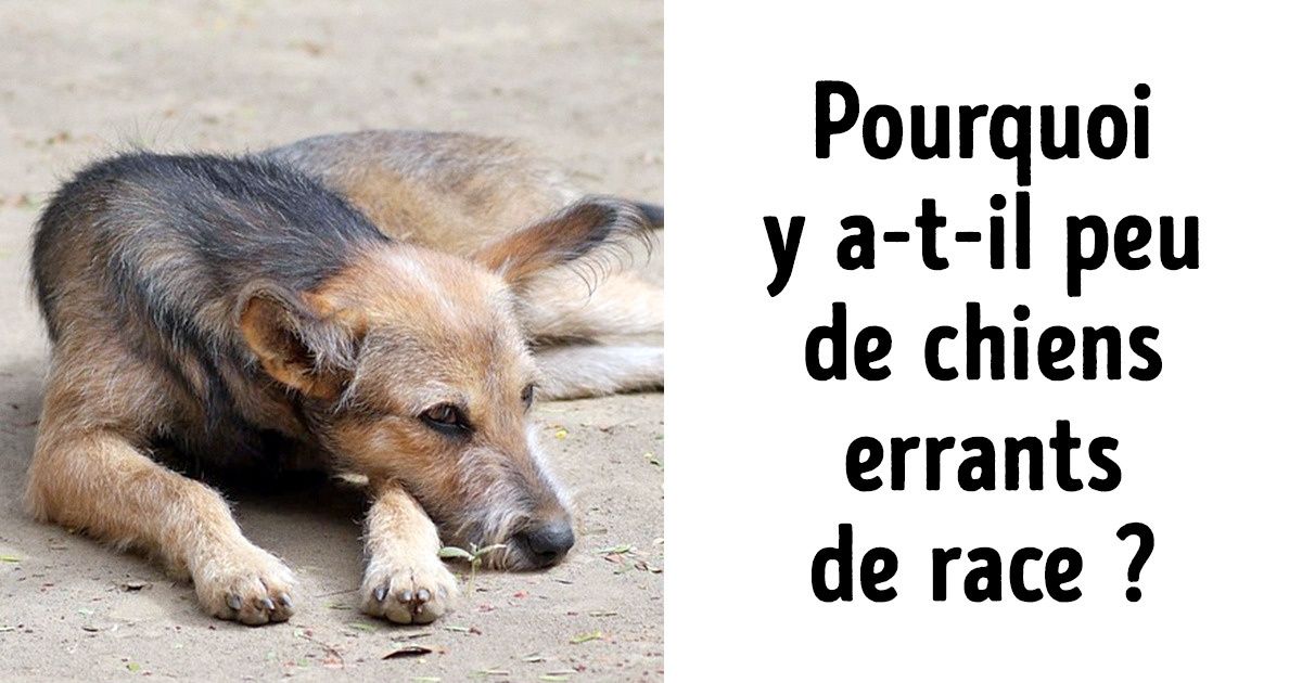 10 principes d’écologie qui se sont avérés être faux