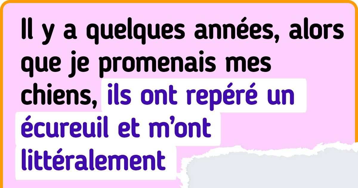 12 Histoires d’un simple malentendu qui a failli mener au désastre