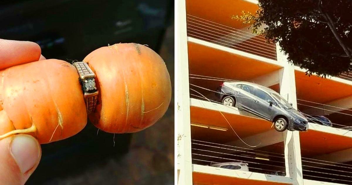 19 personnes qui sont vraiment nées sous une bonne étoile !