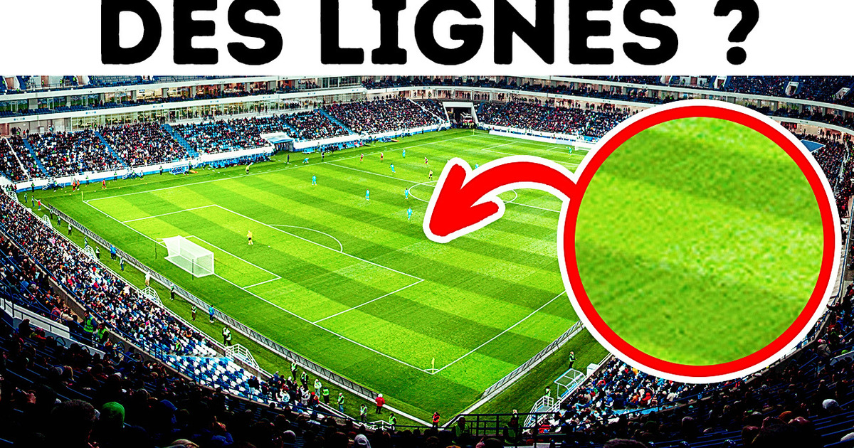 Pourquoi y a-t-il Des Lignes Sur Les Terrains et 15+ Autres Choses à Savoir Sur le Foot Pourquoi y a-t-il Des Lignes Sur Les Terrains et 15+ Autres Choses à Savoir Sur le Foot