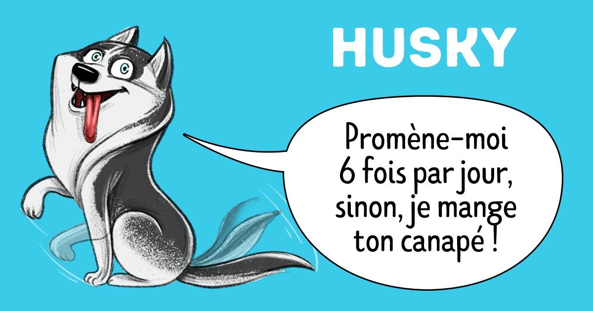 Guide véridique de première main sur les différentes races de chiens