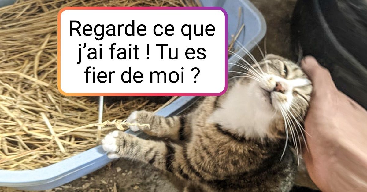 15 Photos De Mamans Du Regne Animal Et De Leurs Petits Adorables Qui Respirent L Amour