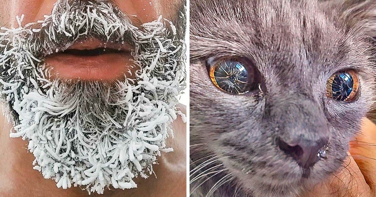 20 Preuves graphiques que notre monde est le laboratoire créatif de Mère Nature