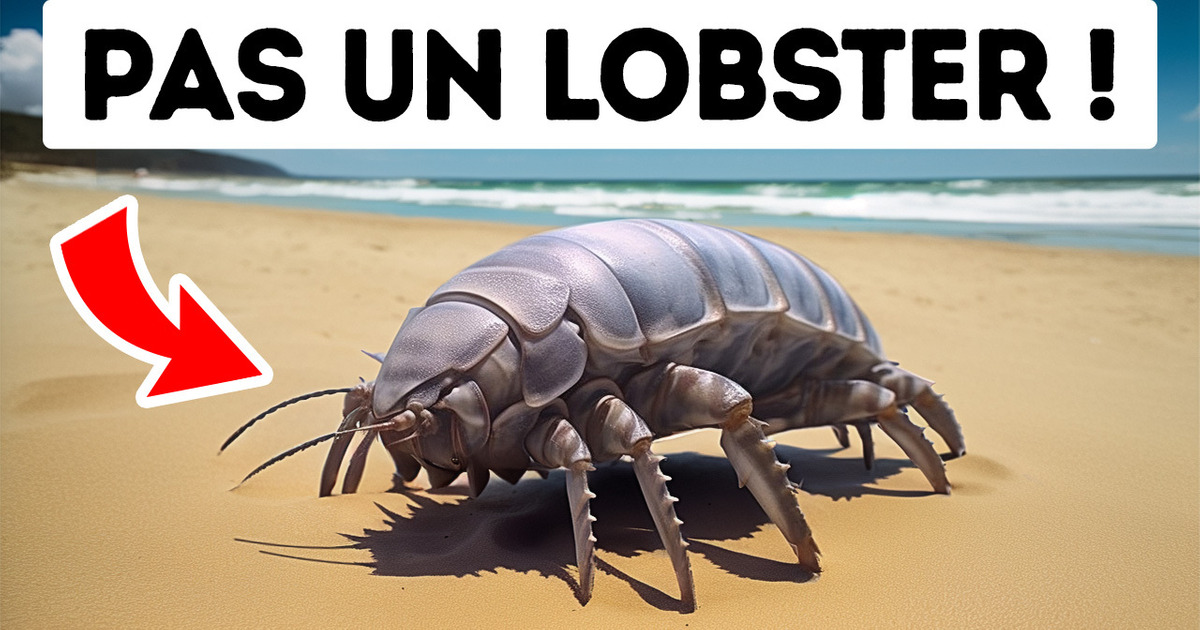 Créatures Que Tu Ne Voudrais Pas Rencontrer Dans La Vie Réelle