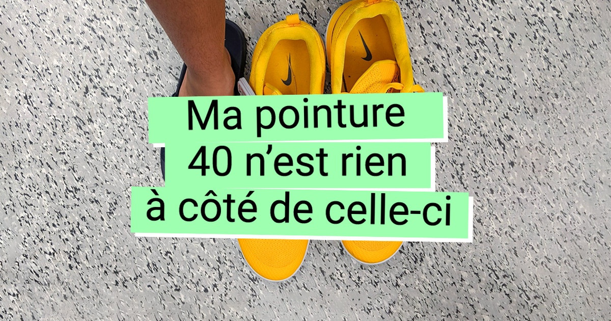 19 Photos qui prouvent que la taille a une importance primordiale