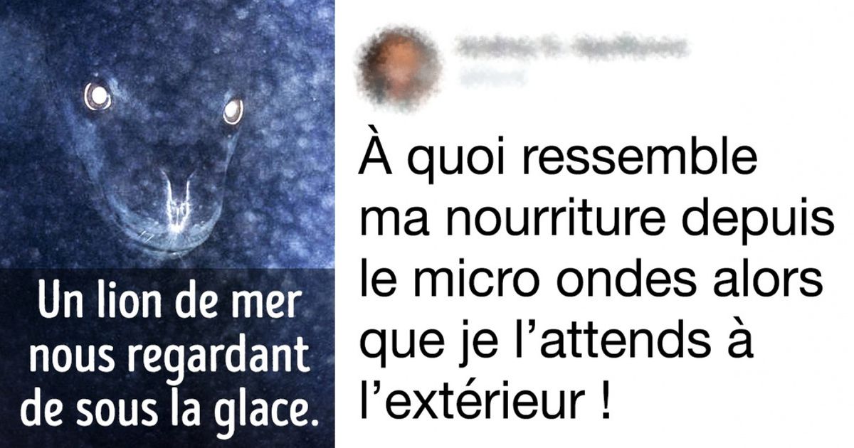 Ces 16 personnes pleines d’imagination vivent dans une autre dimension