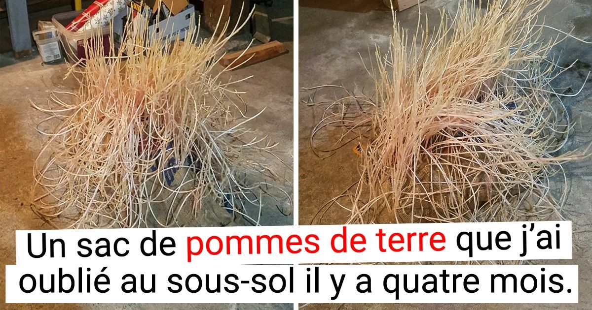 20+ Photos qui montrent ce qui peut arriver à certaines choses quand on les oublie