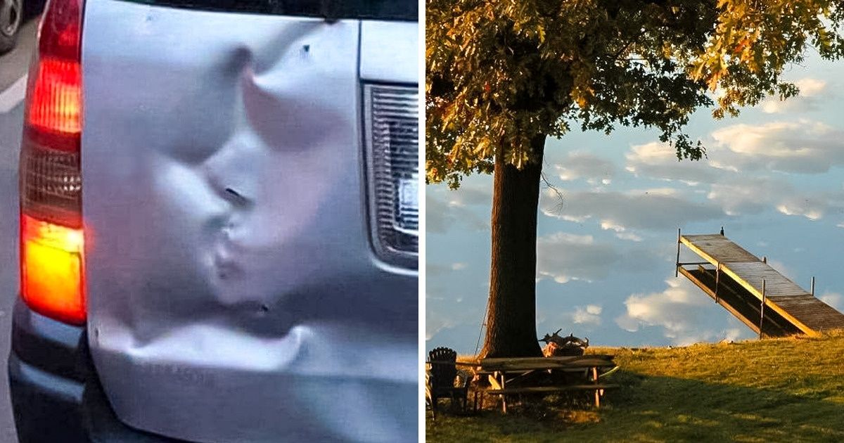 20 Photos qui sont vraiment époustouflantes lorsqu’on les regarde de près