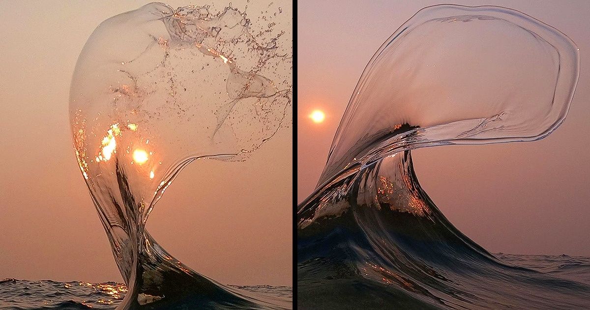 19 Photos qui ont été prises au bon moment et au bon endroit