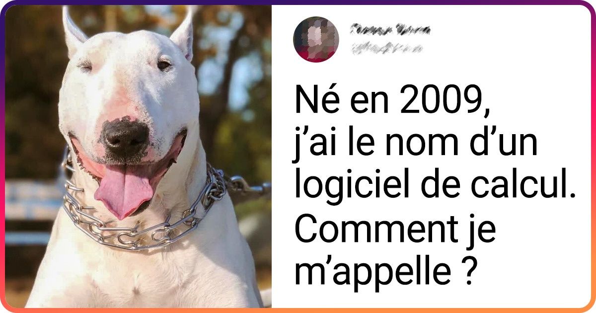 15+ Lecteurs de Sympa partagent avec nous les noms de leurs animaux de compagnie sans vraiment le dire