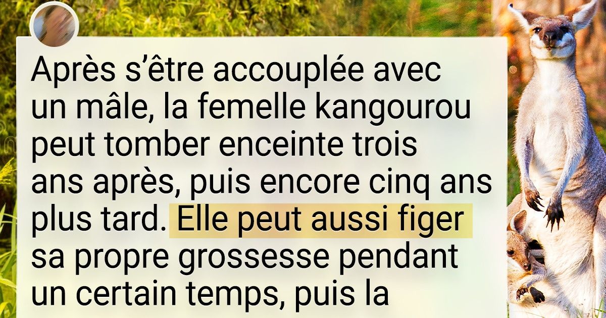 16+ Animaux qui témoignent du pouvoir de l’imagination de Dame Nature