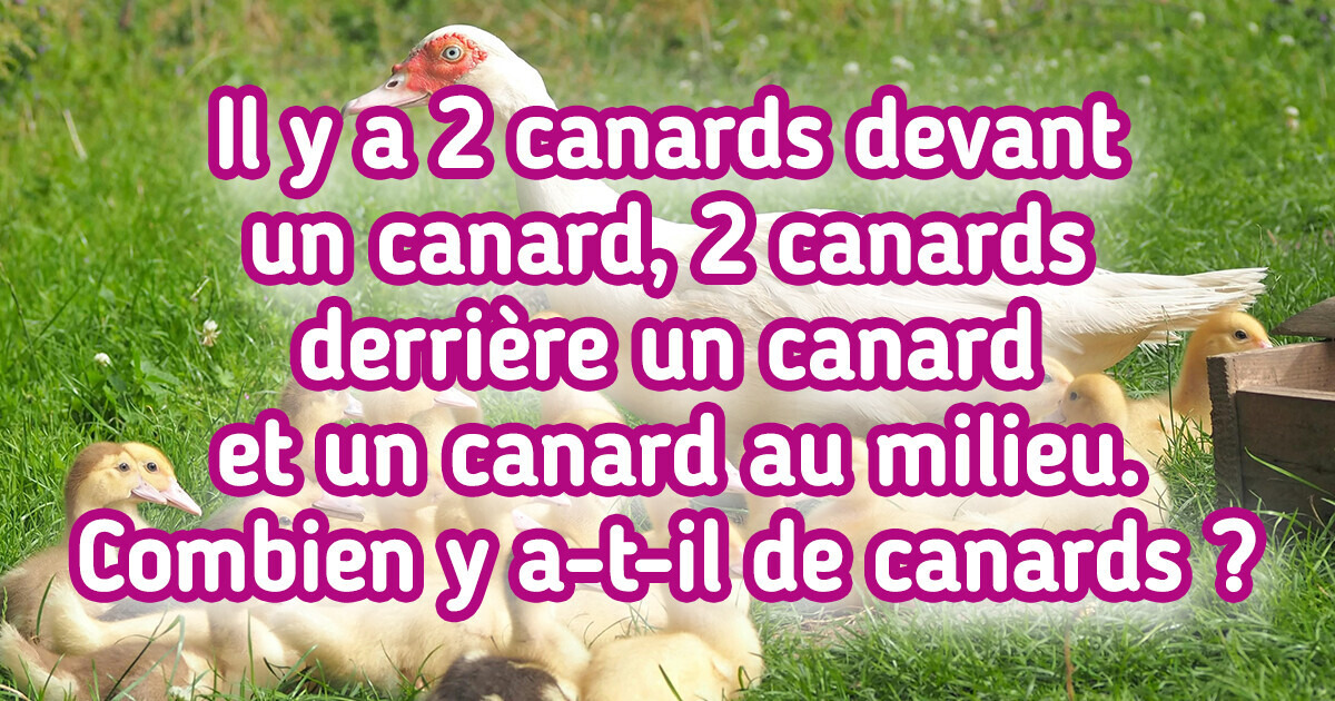 13 Devinettes amusantes qui mettront à l’épreuve les esprits les plus brillants 13 Devinettes amusantes qui mettront à l’épreuve les esprits les plus brillants