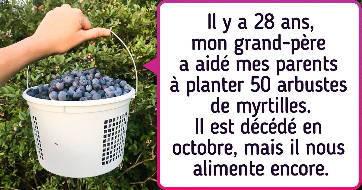 15 Internautes qui vivent en campagne partagent l’expérience d’être aussi proche de la nature