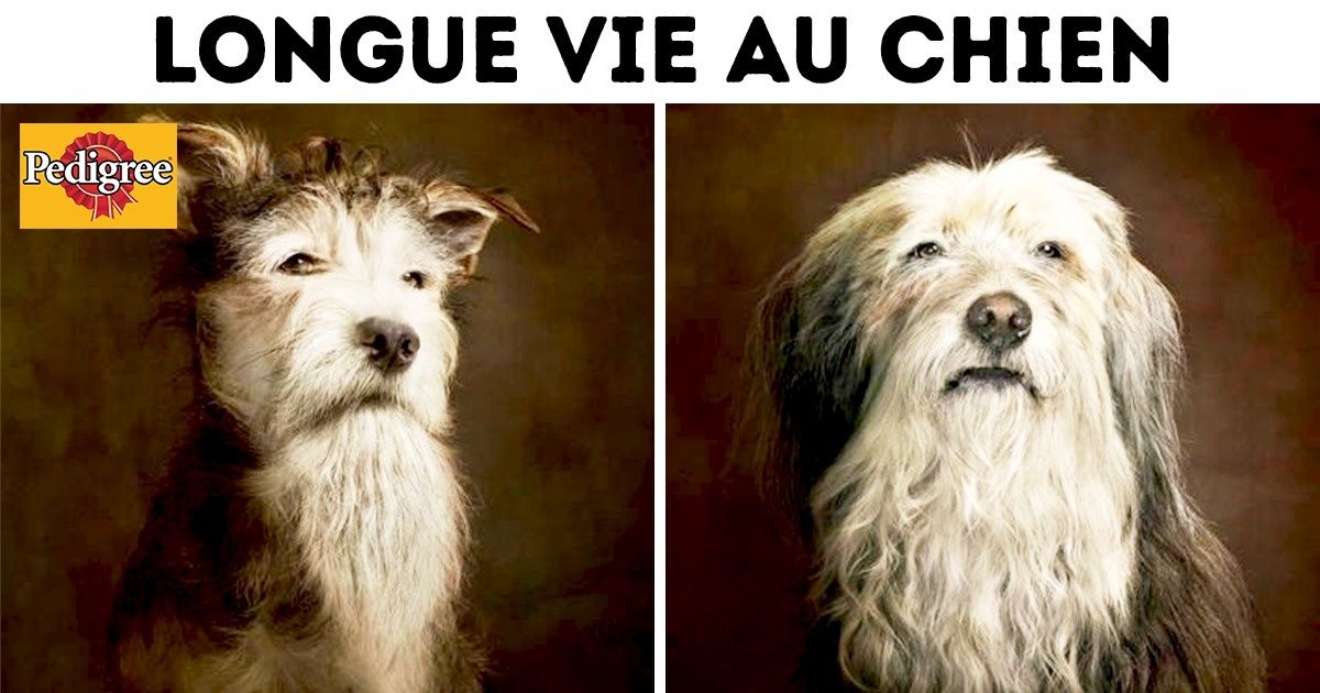 Ces 11 publicités sont le fruit d’une créativité bien au-dessus de la moyenne