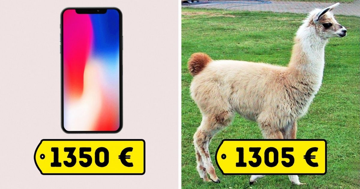 Ces 20 comparaisons en images te feront douter de tes envies
