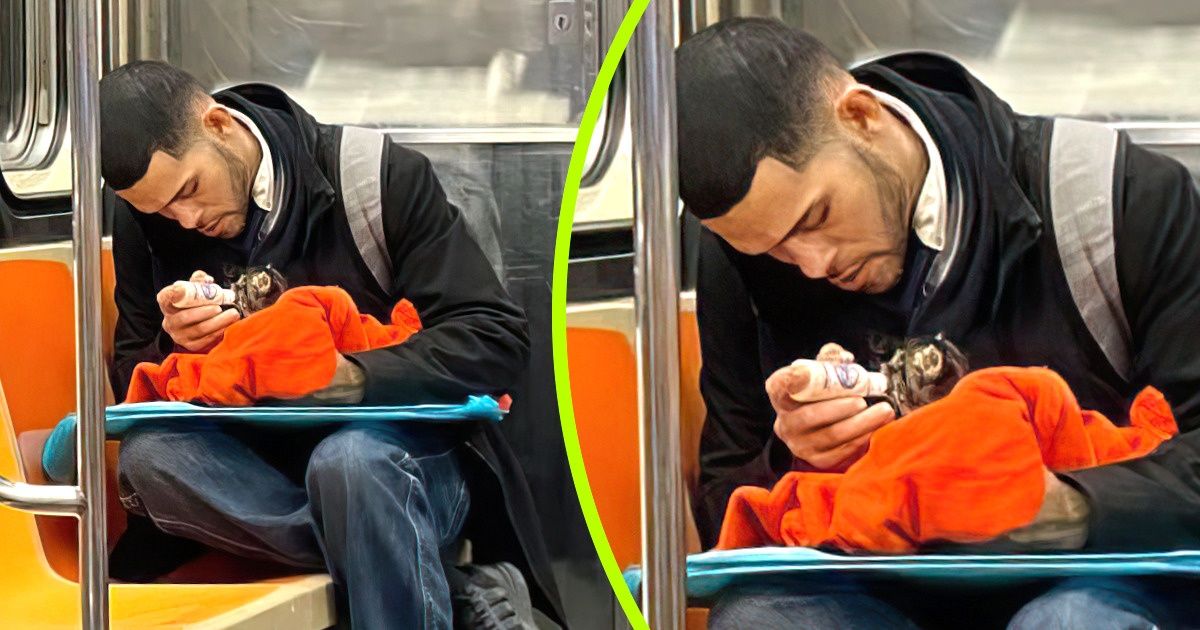 20 Photos de personnes dont la gentillesse et la générosité sont plus grandes que leur cœur