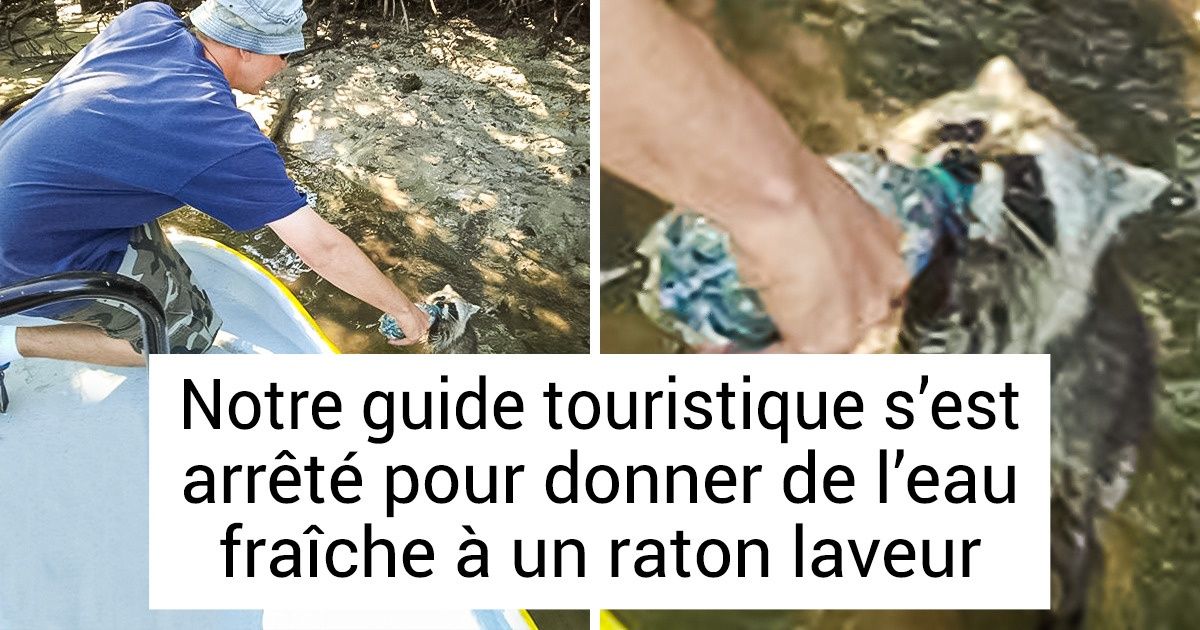 15 Individus qui aiment leur travail de tout leur cœur
