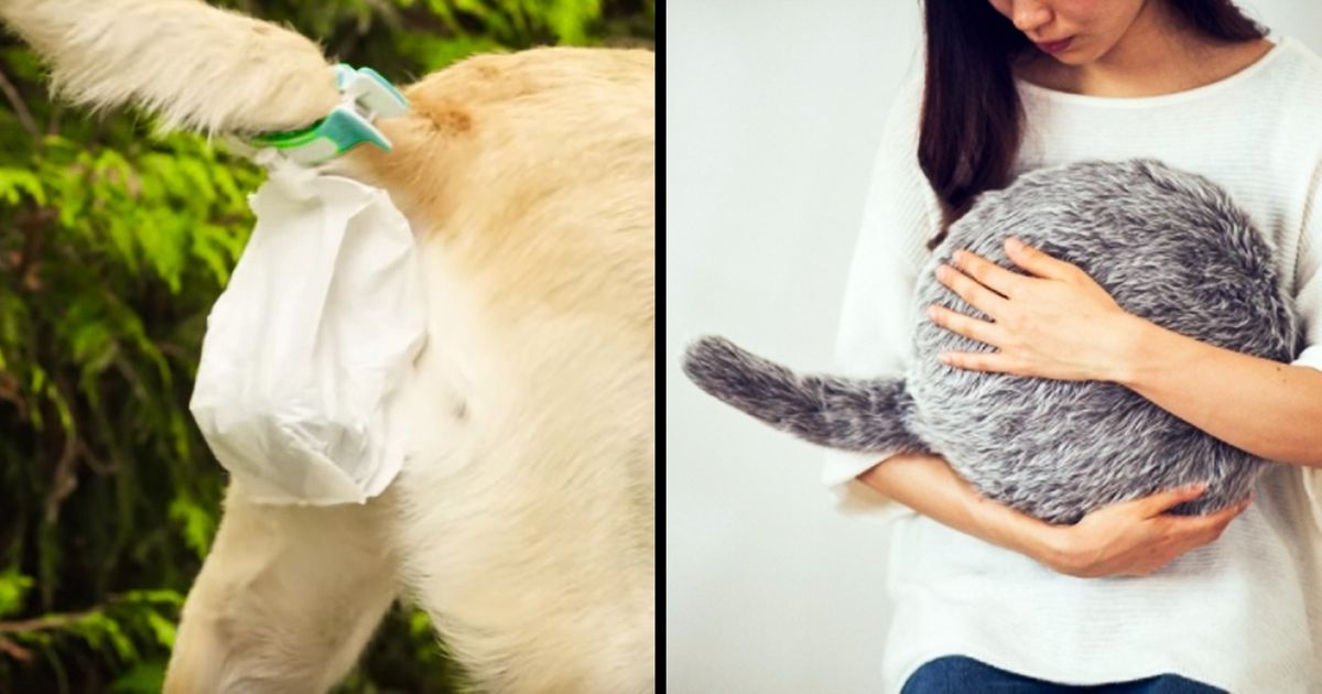 Ces 15 inventions sont la preuve que notre monde devient chaque jour un peu plus parfait