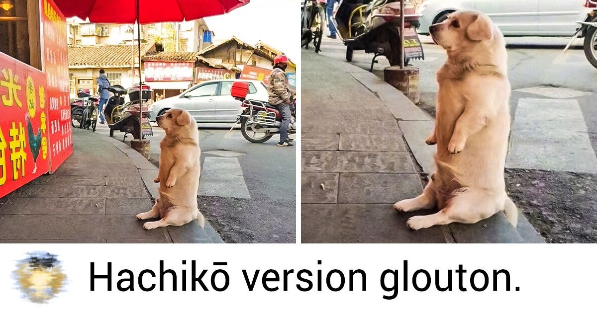 20+ utilisateurs sans qui Internet perdrait tout son charme !