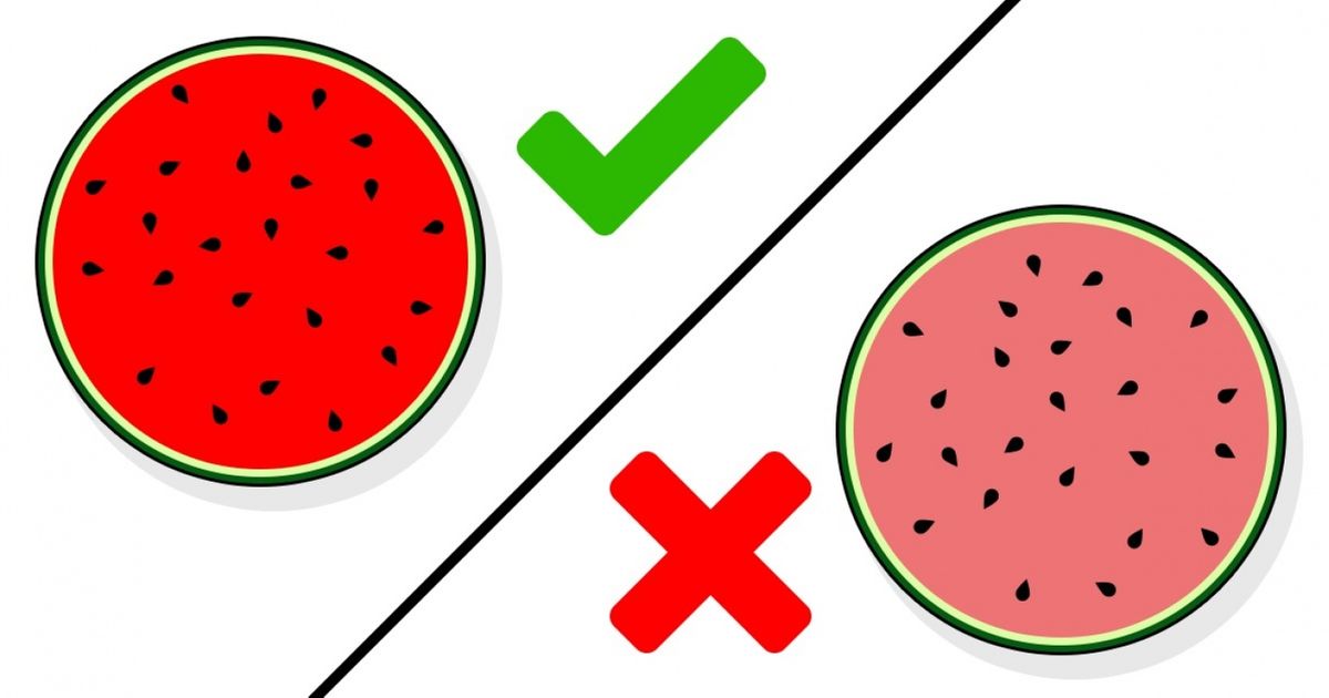 Découvre quels signes indiquent que les aliments que nous mangeons sont impropres à la consommation