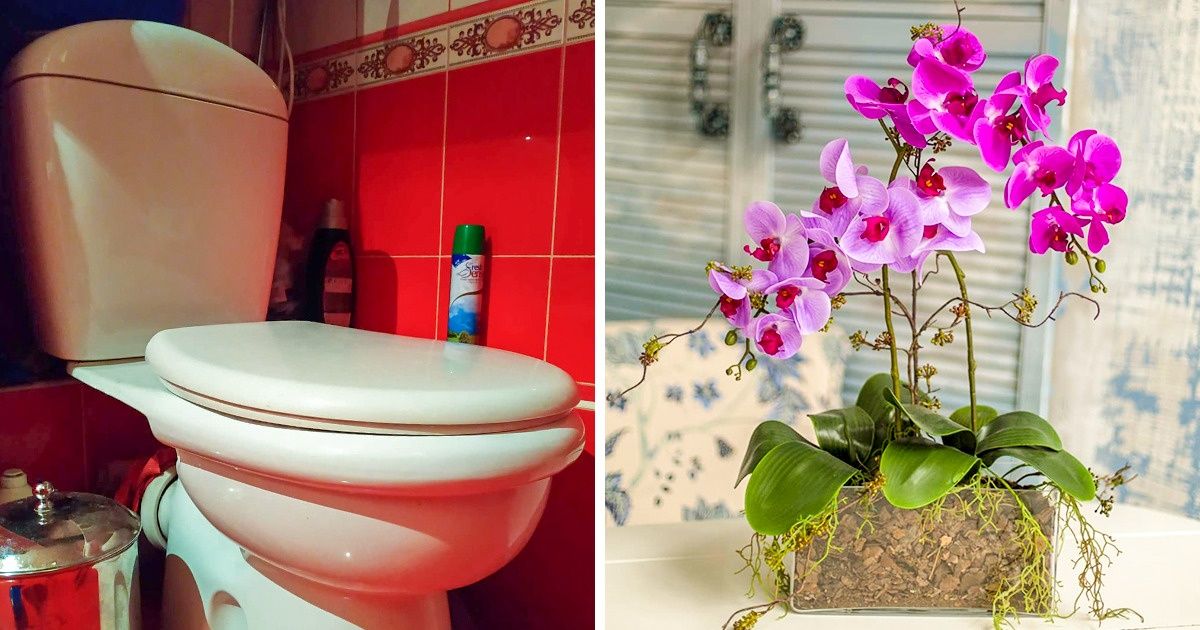15 Objets qui ne devraient pas se trouver chez tout bon maître de maison