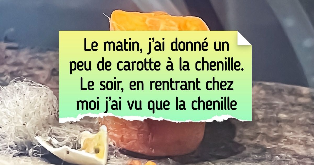 18 Personnes qui ont fait quelques découvertes et se sont dit : “Maintenant ma vision du monde ne sera plus la même”