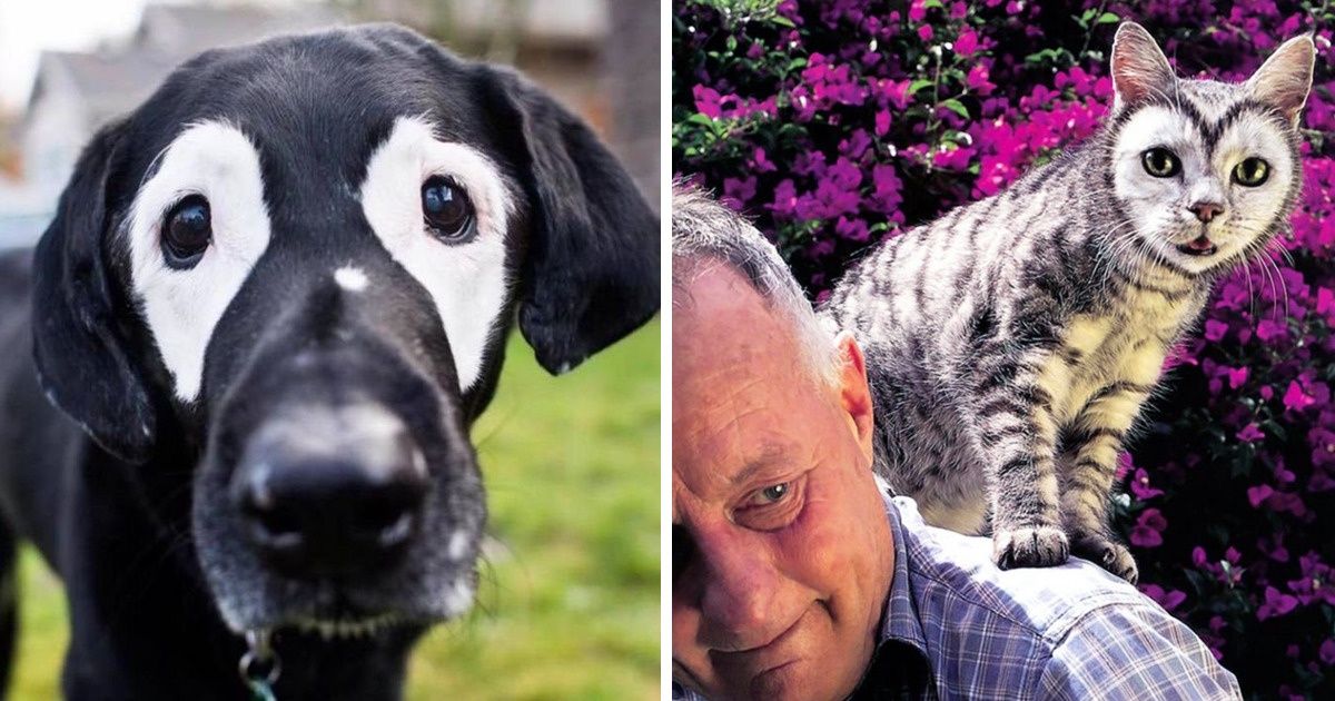 21 Animaux que la nature a conçu d’une manière étrange et unique 21 Animaux que la nature a conçu d’une manière étrange et unique