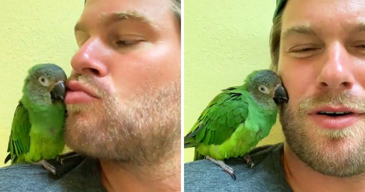 20+ Preuves que l’amour n’a pas de limite