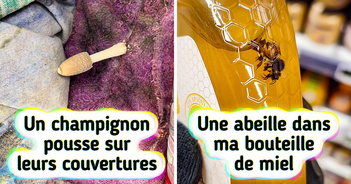 20+ Découvertes soudaines auxquelles les internautes ne s’attendaient pas