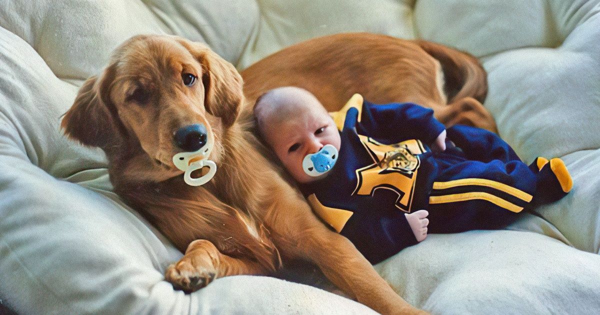 20 Photos d’animaux qui montrent à quel point les vieilles habitudes ont la peau dure