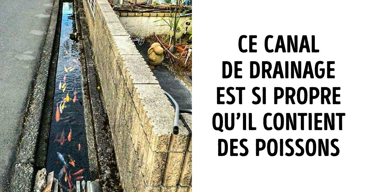 20 Choses bizarres qui sont considérées comme tout à fait normales au Japon 20 Choses bizarres qui sont considérées comme tout à fait normales au Japon