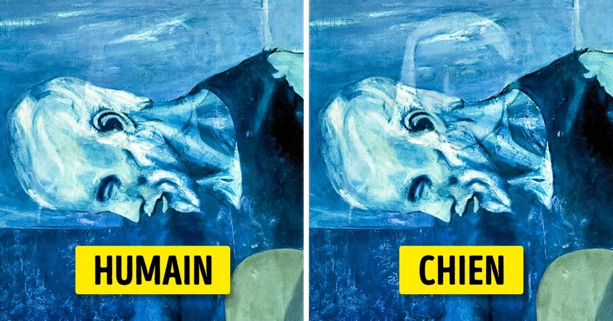 Les scientifiques ont réussi à expliquer comment les chiens parviennent à distinguer ce que les humains ne peuvent pas voir