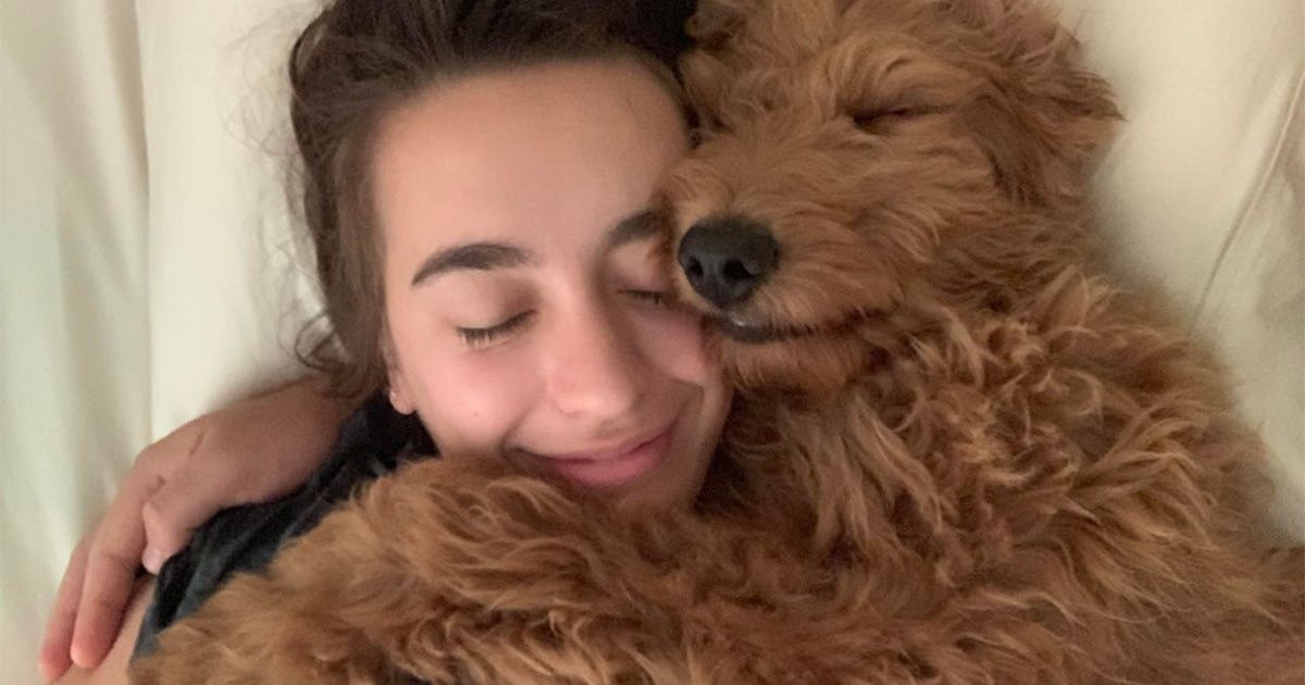 Avoir un chien peut améliorer la santé de ton cœur, et la science explique pourquoi Avoir un chien peut améliorer la santé de ton cœur, et la science explique pourquoi