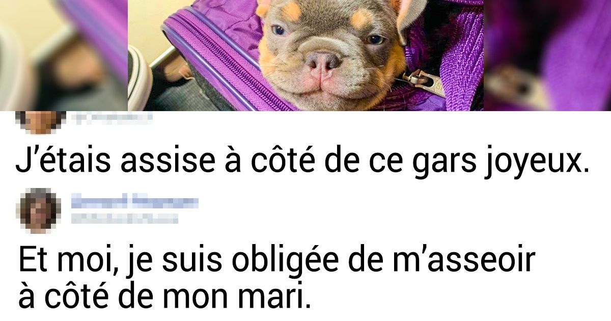 19 Personnes qui ont eu des compagnons de voyage trop cool