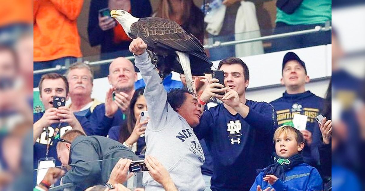 20+ Personnes chanceuses qui ont réussi à prendre la photo parfaite au bon moment