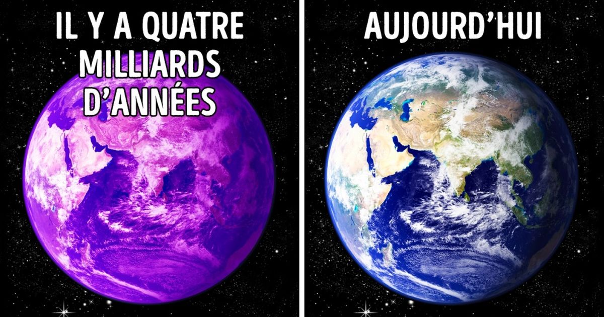 Ces 7 informations curieuses sur notre planète ne t’ont sûrement jamais été enseignées à l’école