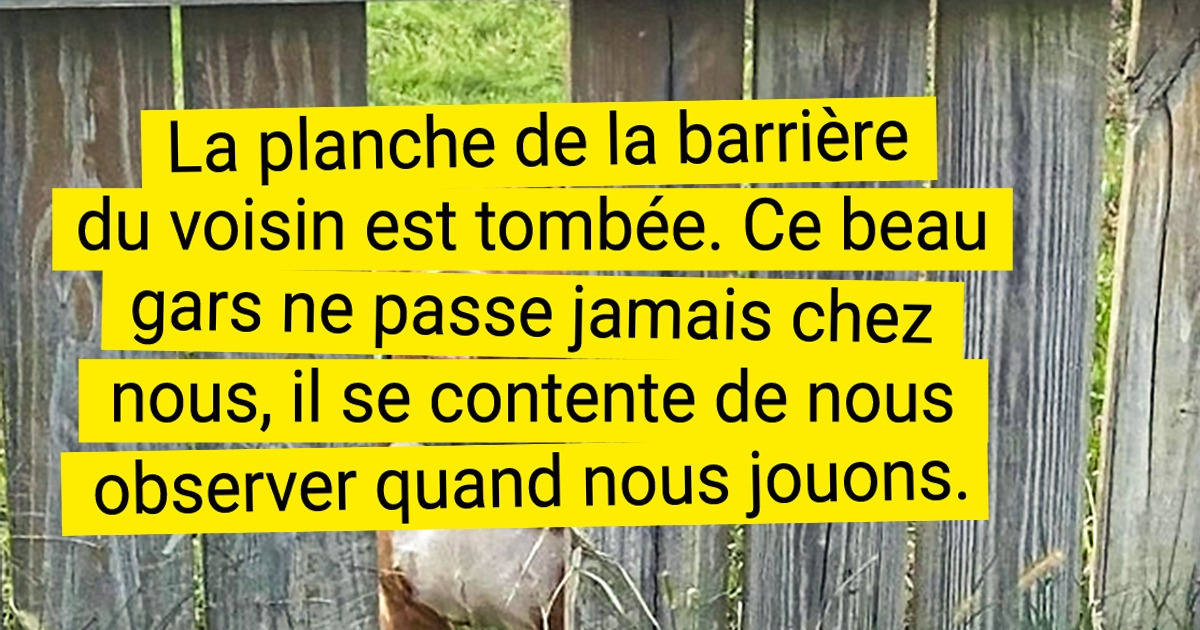 20 Internautes dont la routine s’est cassée avec la visite de créatures adorables