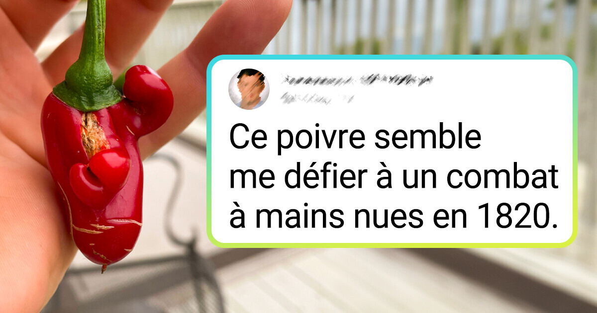 18 Personnes qui repèrent des visages dans des objets ordinaires