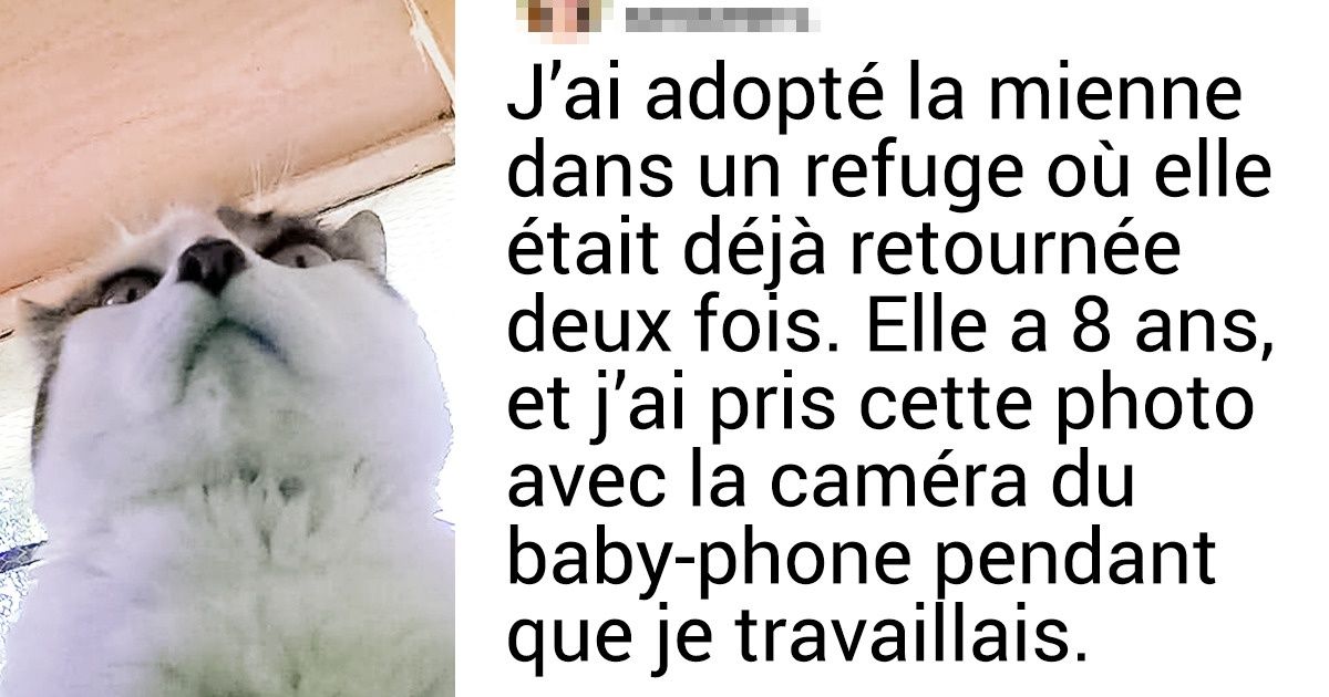 28 Lecteurs de Sympa expliquent pourquoi ils considèrent leurs chats comme leurs enfants