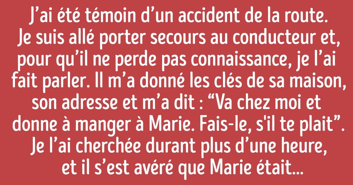 16 Histoires émouvantes d’animaux qui vont toutes nous faire fondre