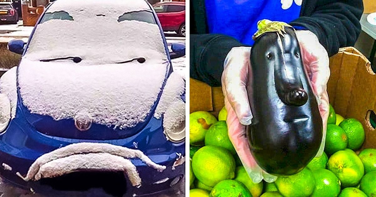 20 choses qui ne sont pas exactement ce à quoi vous vous attendiez