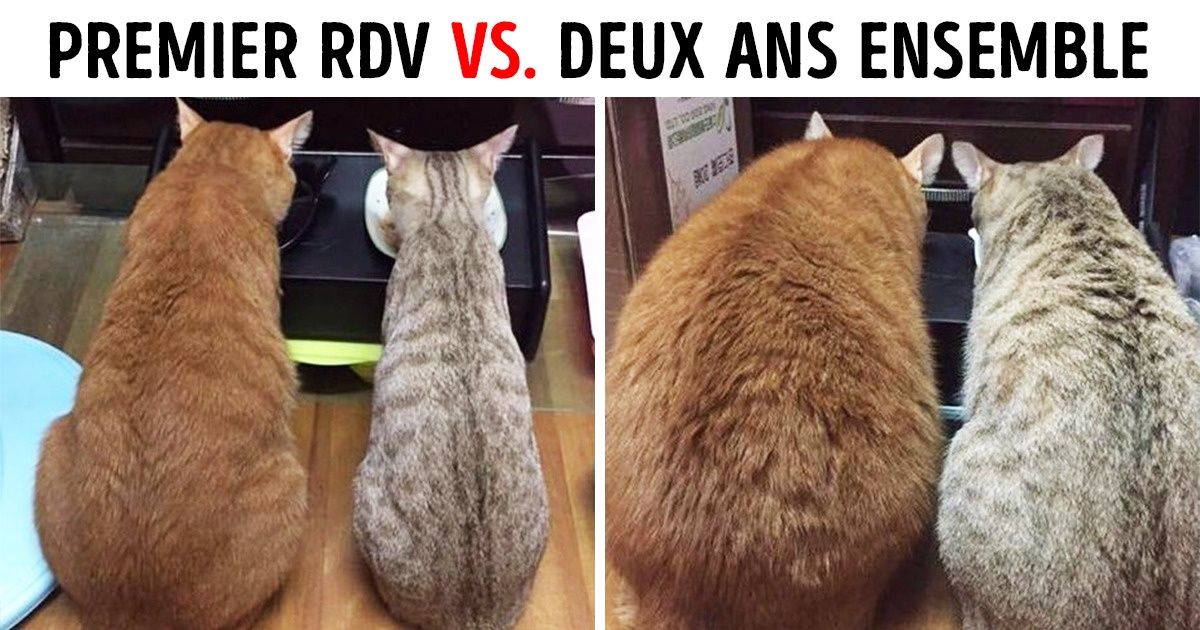 20+ Photos qui décrivent les relations sentimentales mieux que n’importe quelle chanson d’amour 20+ Photos qui décrivent les relations sentimentales mieux que n’importe quelle chanson d’amour