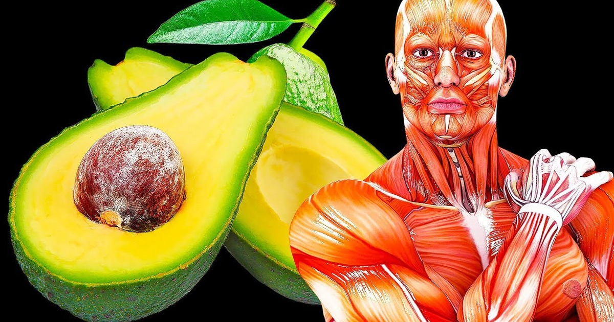 Si tu Manges un Avocat Par Jour Pendant un Mois, Voici ce Qu’il T’arrivera