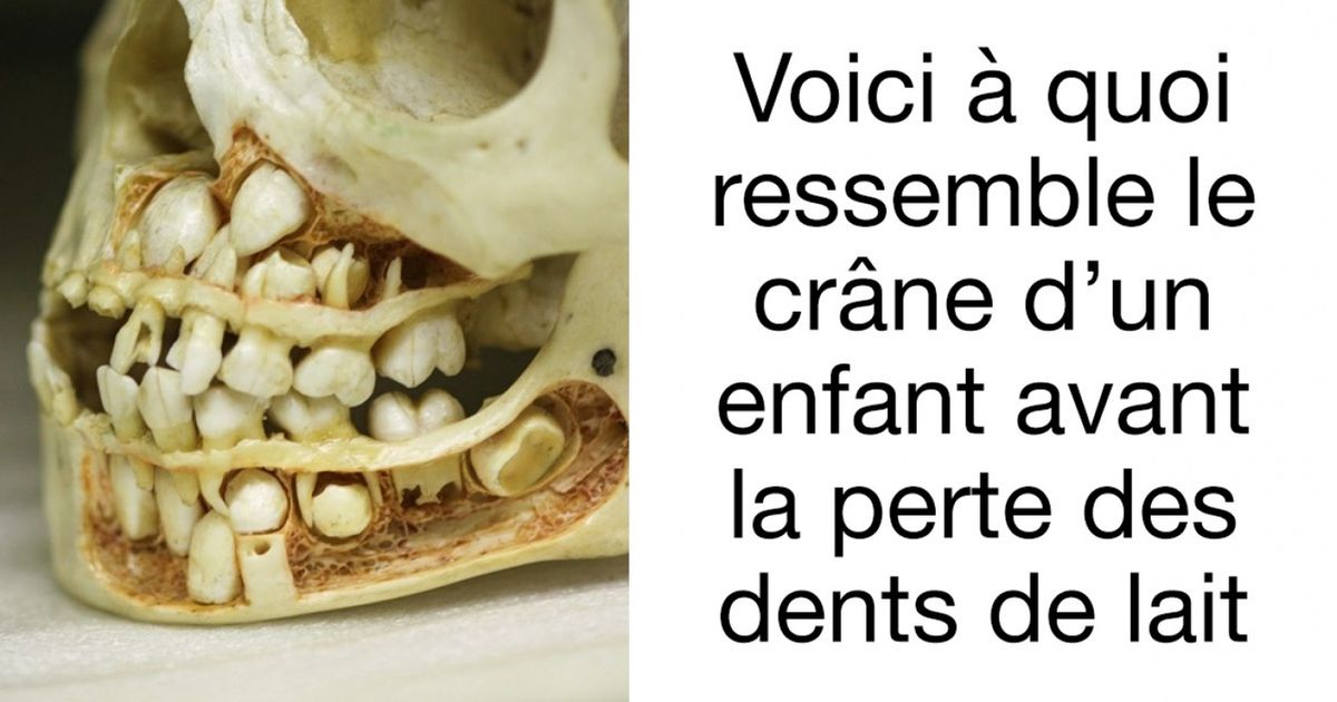 Ces images fascinantes te feront voir le monde sous un autre œil