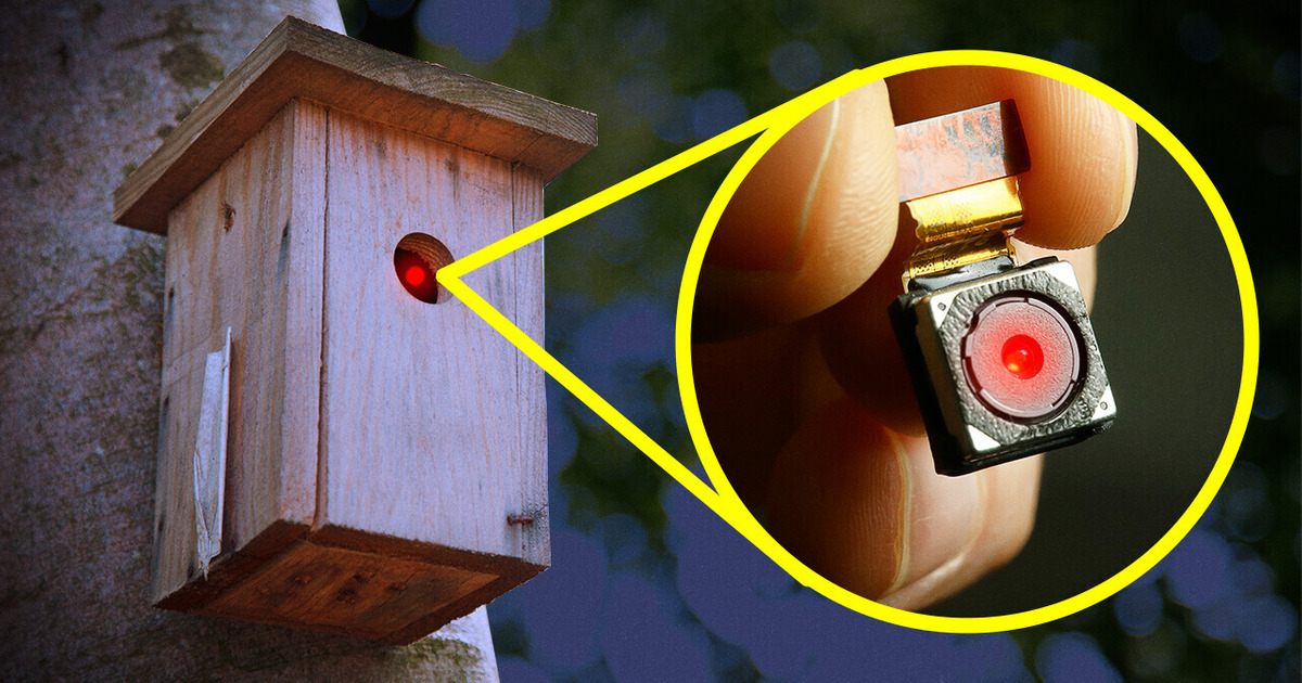 Combien De Caméras Cachées Te Surveillent En Ce Moment Même ? Combien De Caméras Cachées Te Surveillent En Ce Moment Même ?