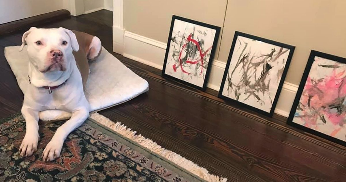Un chien peint des tableaux avec la queue et ils sont ensuite vendus aux enchères pour aider les autres animaux de son refuge