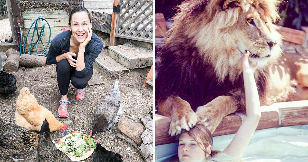 13 Animaux de célébrités qui sont hors du commun, mais très mignons