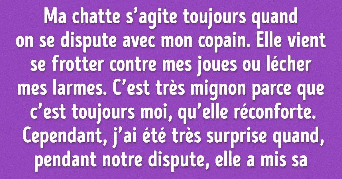 15 Histoires qui prouvent que les animaux sont beaucoup plus intelligents que ce que nous croyons 15 Histoires qui prouvent que les animaux sont beaucoup plus intelligents que ce que nous croyons