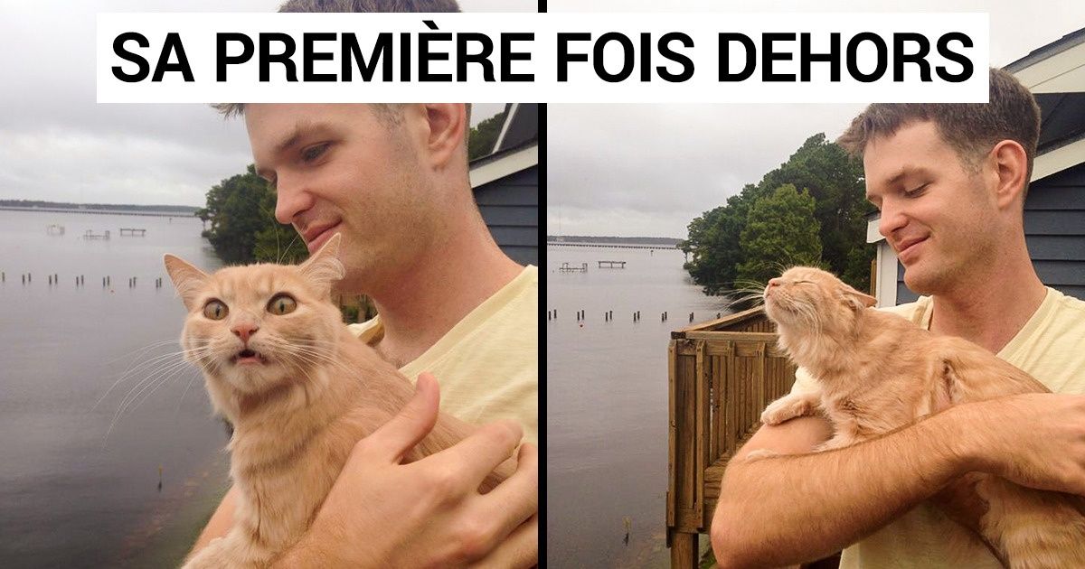 25 Photos d’animaux qui ont vécu quelque chose pour la première fois